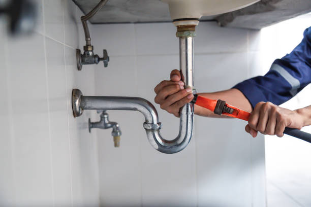 Best Local Plumber Services  in Troy, PA